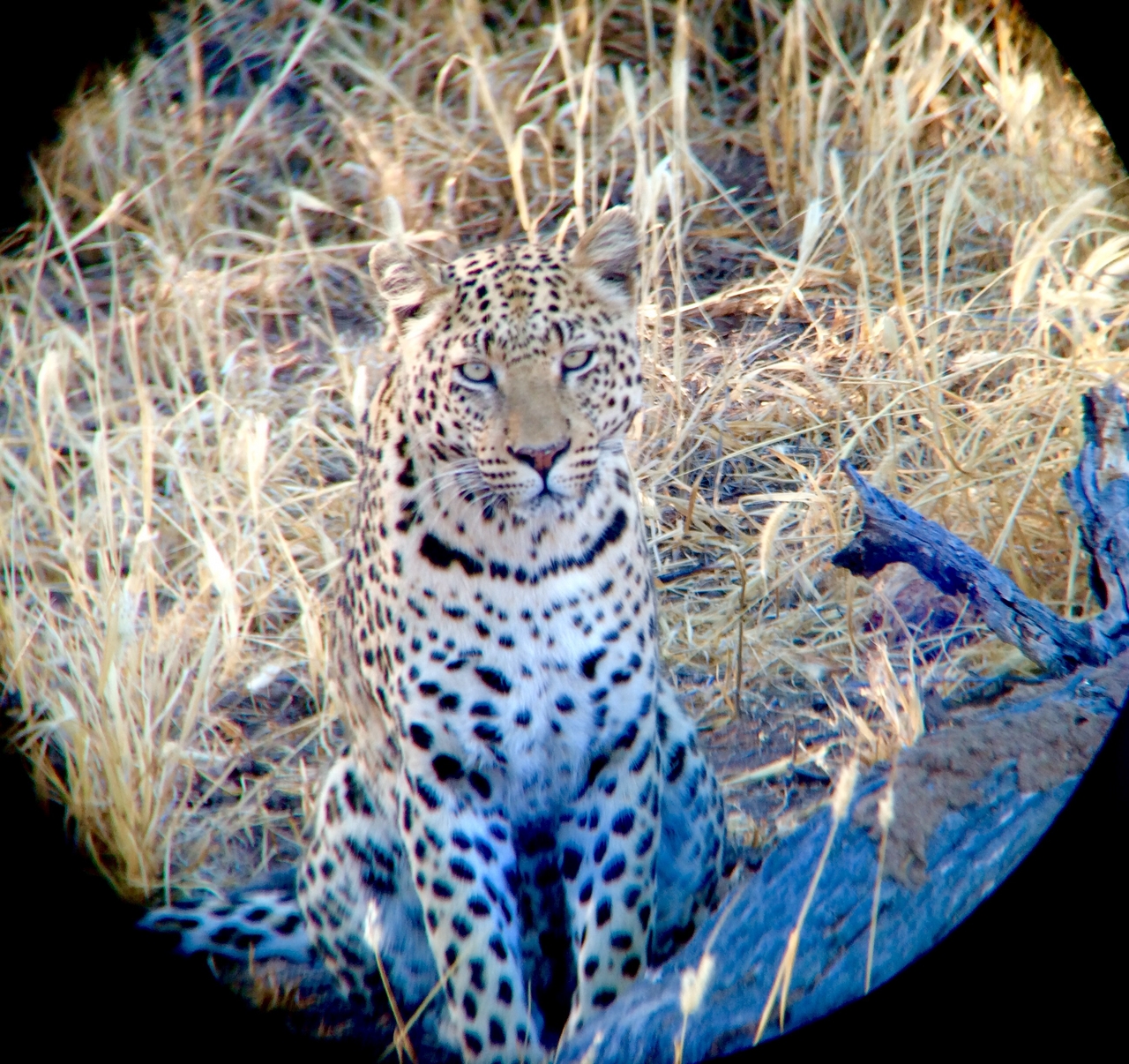 [3212] 2016_06_22_11_23_30_Africa_iPhone_5s_IMG__00225.jpg