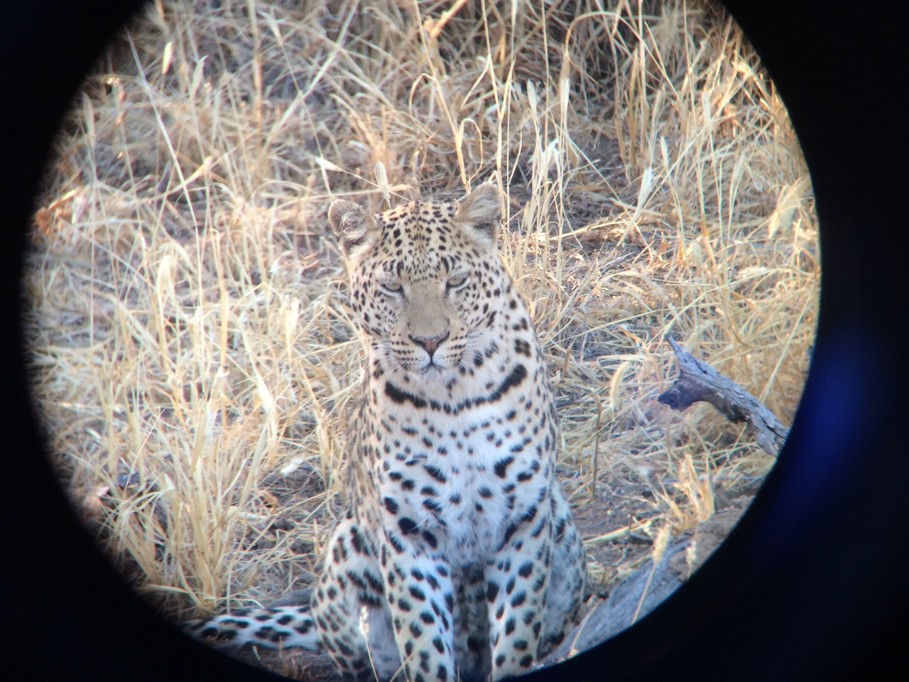 [3221] 2016_06_22_11_23_37_Africa_iPhone_5s_IMG__00227.jpg