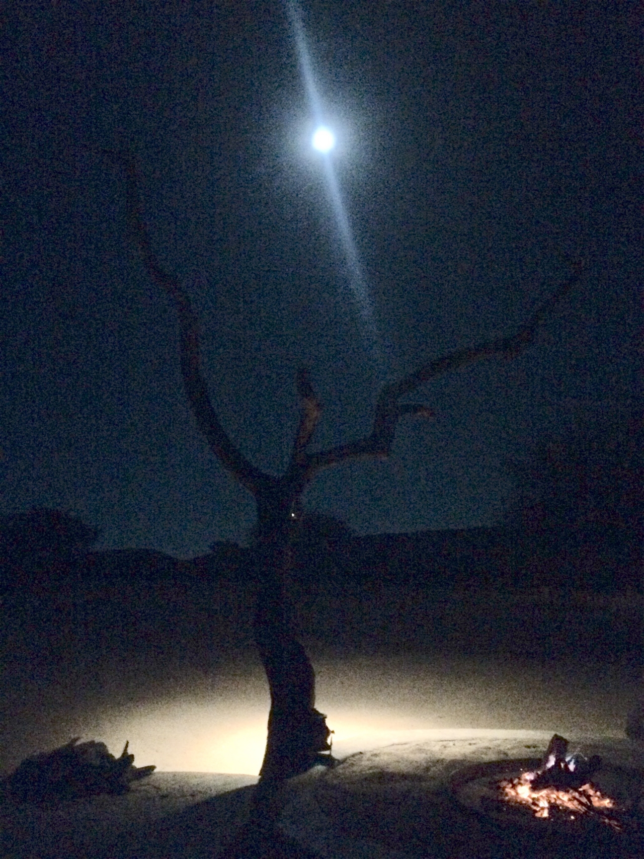 [3638] 2016_06_22_16_57_32_Africa_iPhone_5s_IMG__00239.jpg