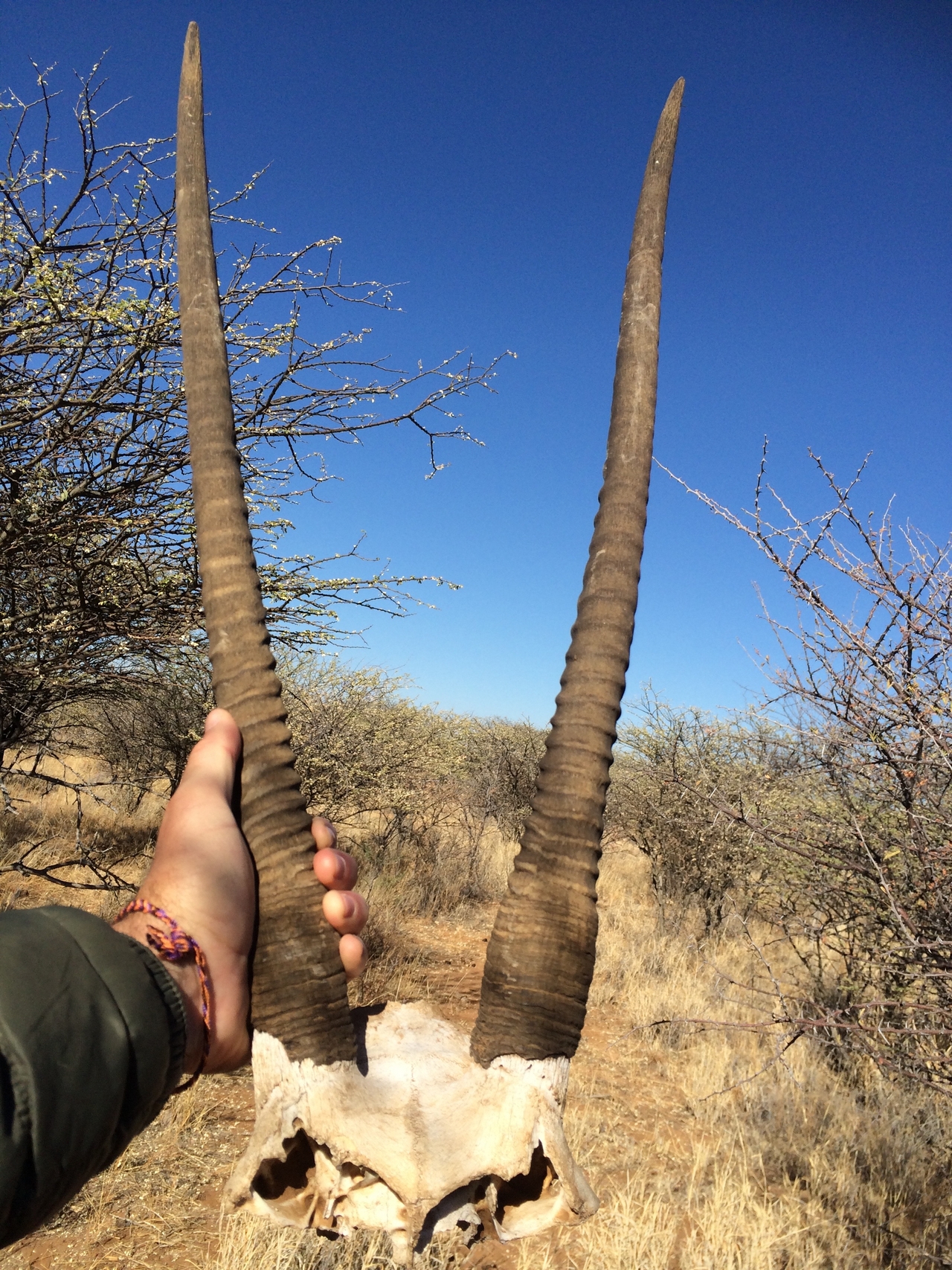 [4741] 2016_06_23_04_23_19_Africa_iPhone_5s_IMG__00271.jpg