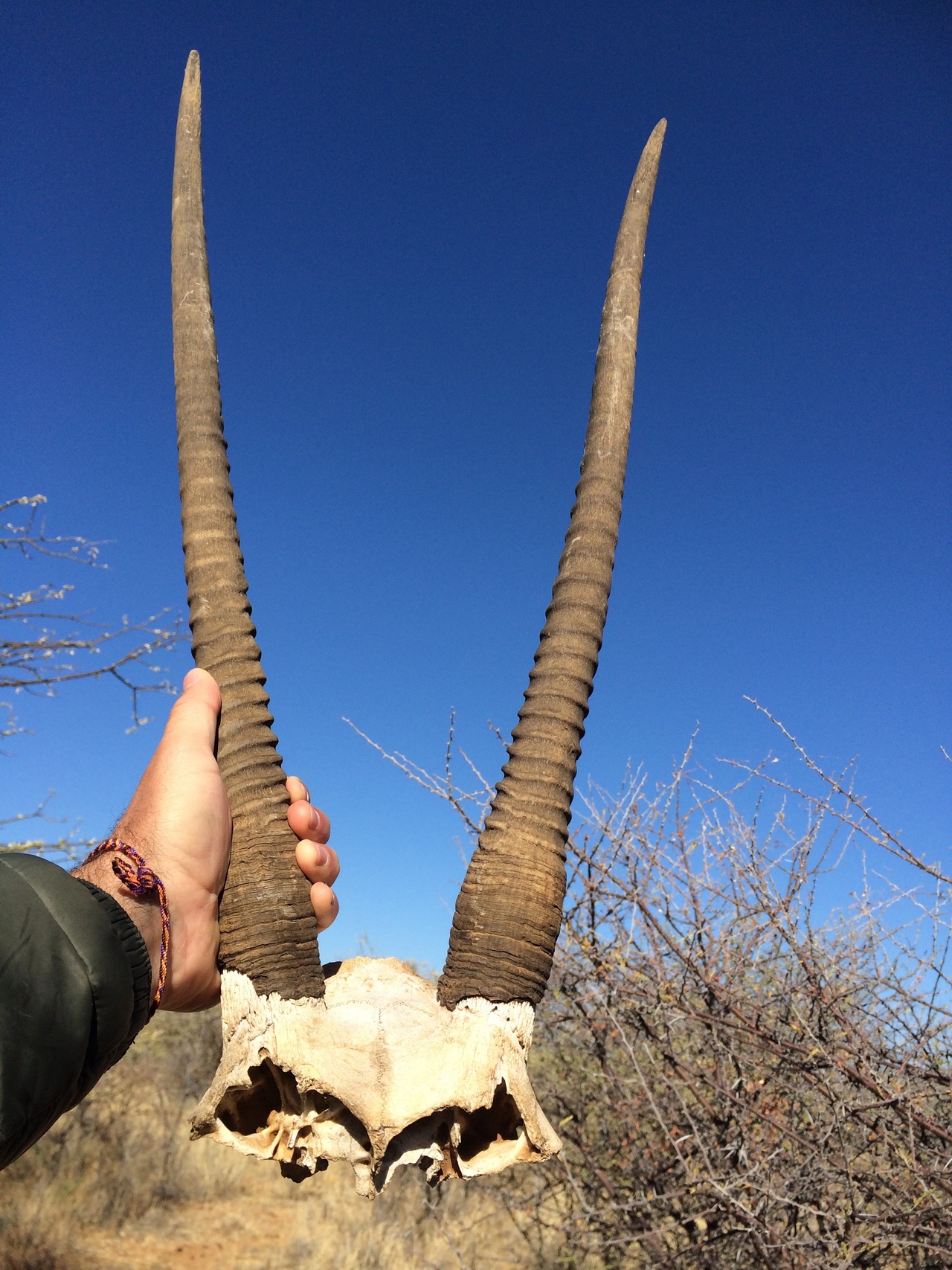 [4743] 2016_06_23_04_23_24_Africa_iPhone_5s_IMG_8156_00272.jpg