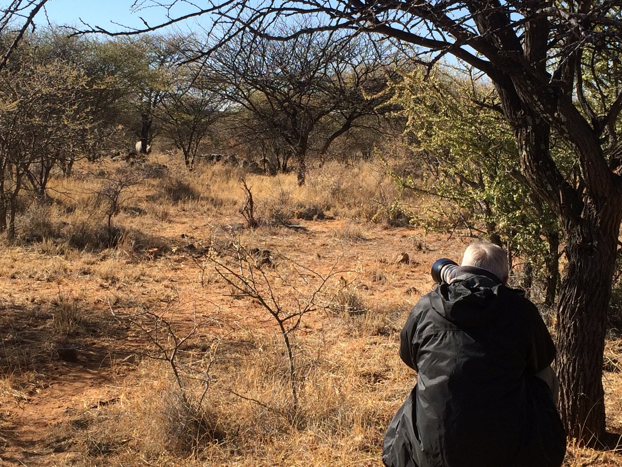 [4880] 2016_06_23_04_24_58_Africa_iPhone_5s_IMG_8158_00276.jpg