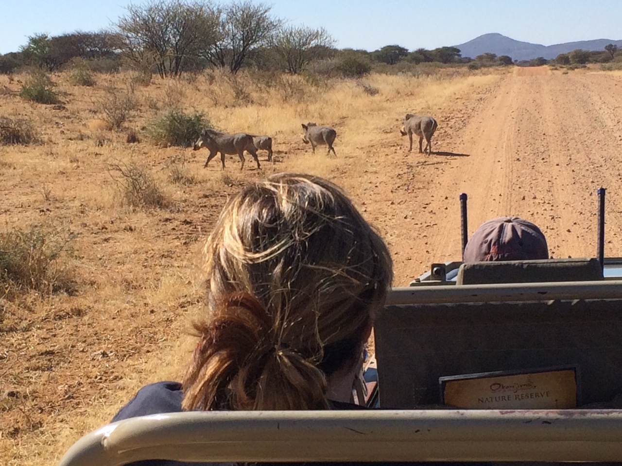 [5015] 2016_06_23_05_15_07_Africa_iPhone_5s_IMG__05909.jpg