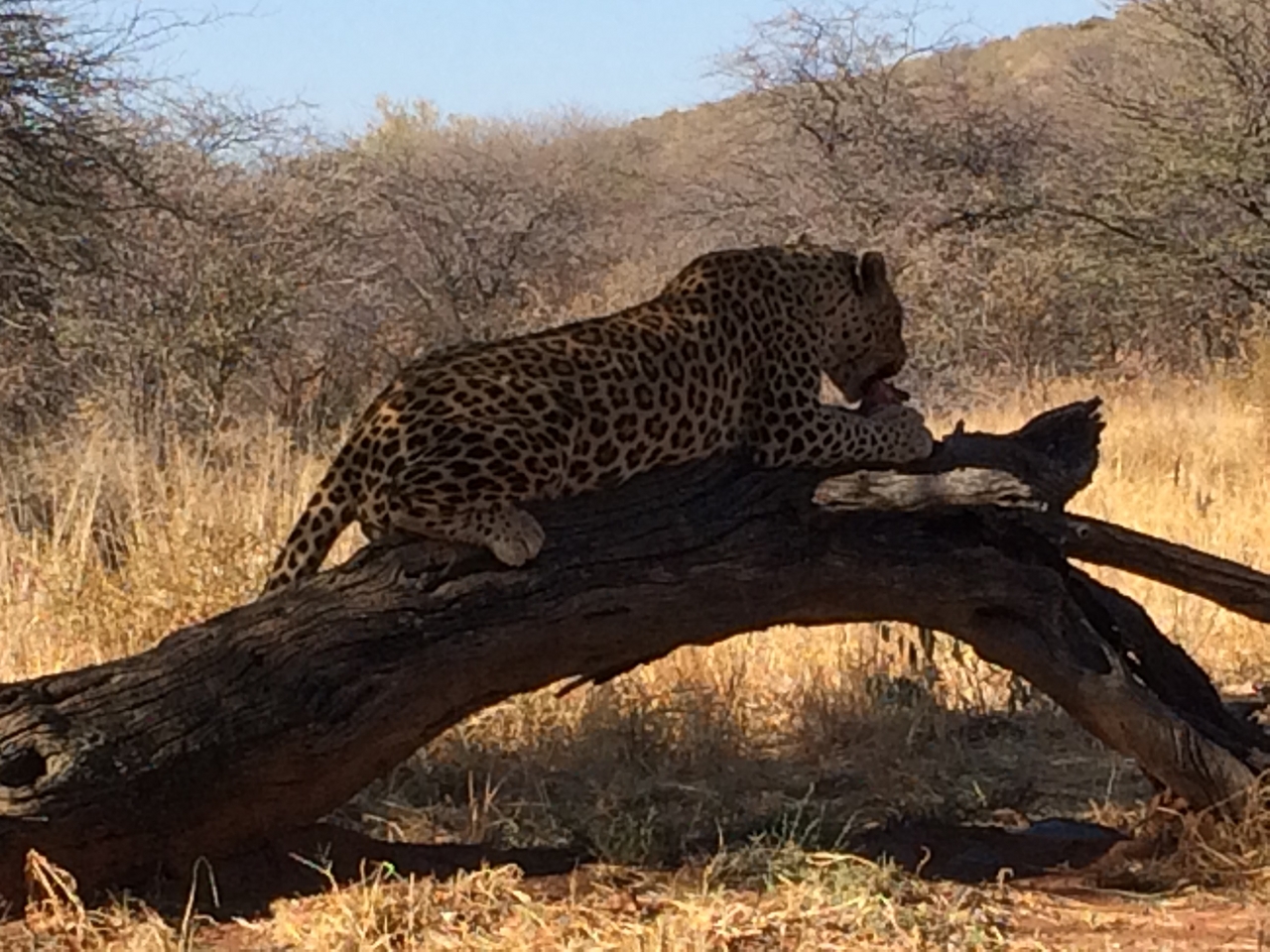 [5554] 2016_06_23_10_16_53_Africa_iPhone_5s_IMG_8178_00310.jpg