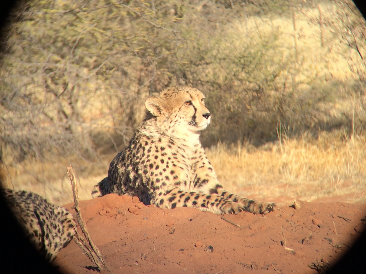 [6613] 2016_06_23_10_55_40_Africa_iPhone_5s_IMG_8195_05952.jpg