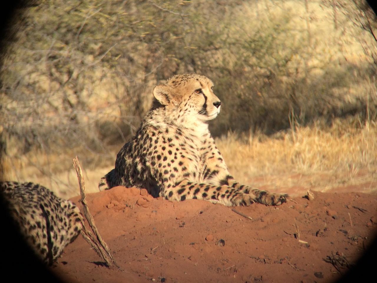 [6625] 2016_06_23_10_55_52_Africa_iPhone_5s_IMG_8196_00340.jpg