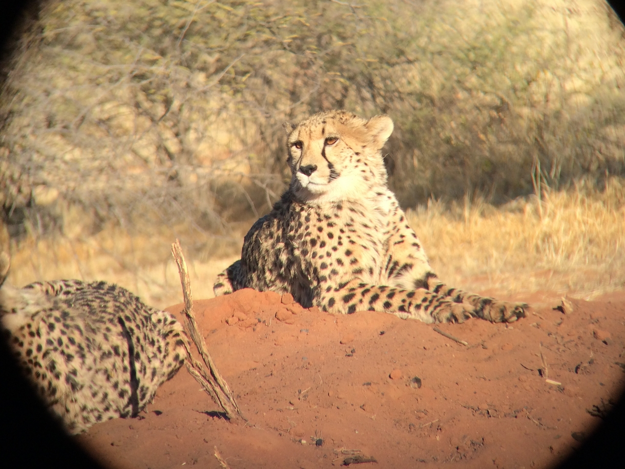 [6640] 2016_06_23_10_55_58_Africa_iPhone_5s_IMG_8198_05958.jpg