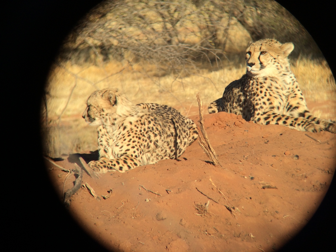 [6780] 2016_06_23_10_59_52_Africa_iPhone_5s_IMG_8202_05962.jpg