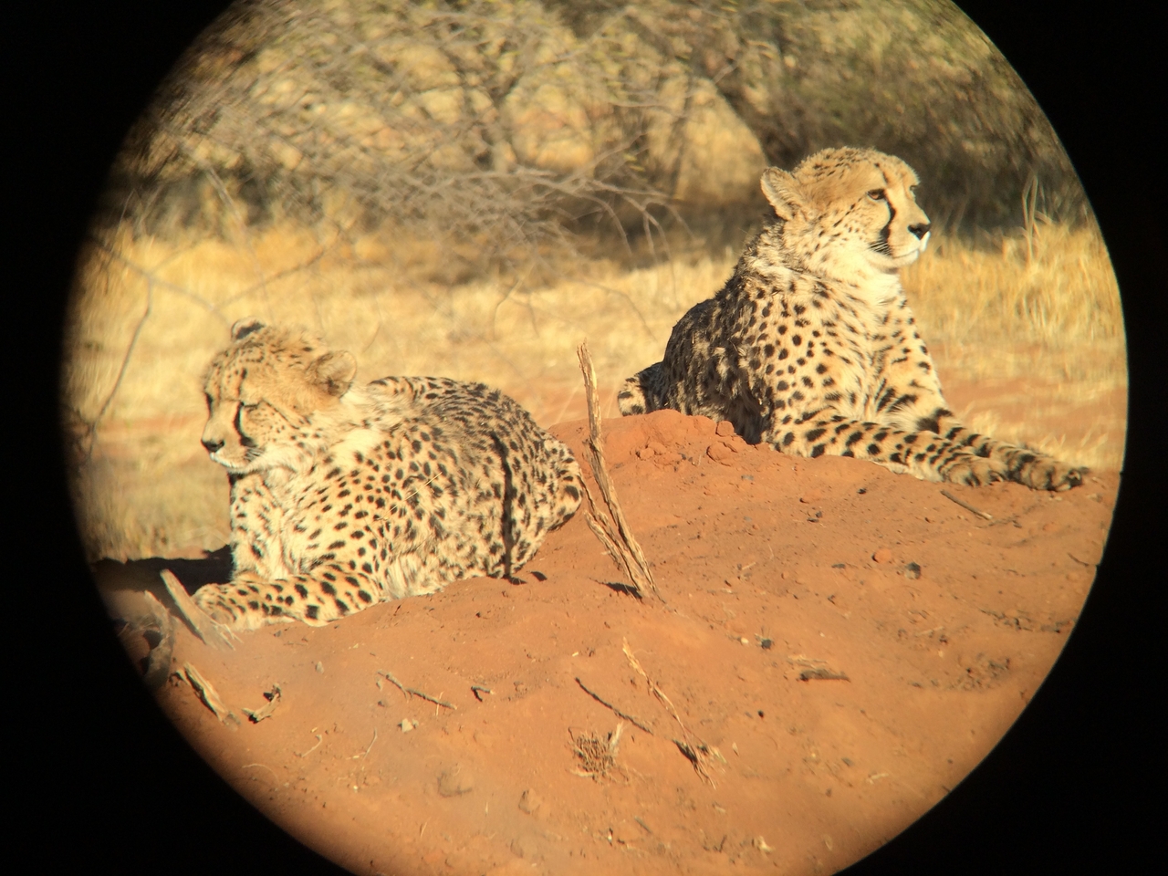 [6836] 2016_06_23_11_00_33_Africa_iPhone_5s_IMG__00351.jpg