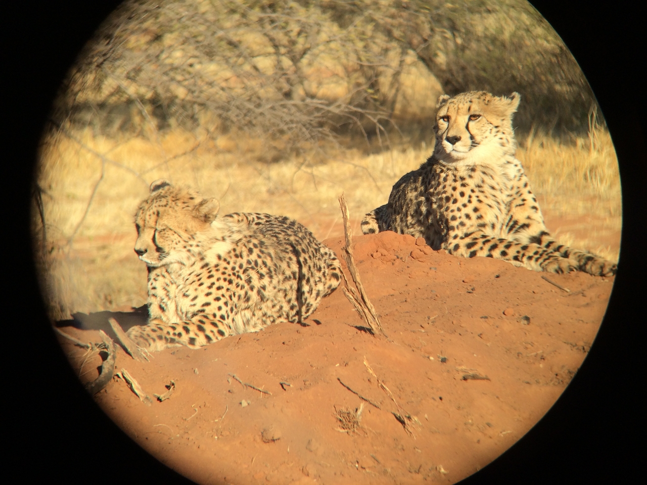 [6844] 2016_06_23_11_00_38_Africa_iPhone_5s_IMG__00355.jpg