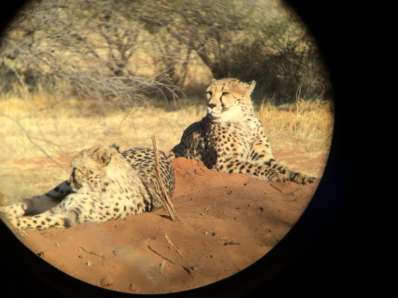 [6992] 2016_06_23_11_07_57_Africa_iPhone_5s_IMG__05975.jpg