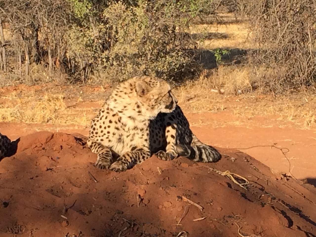 [7083] 2016_06_23_11_13_42_Africa_iPhone_5s_IMG_8213_00362.jpg