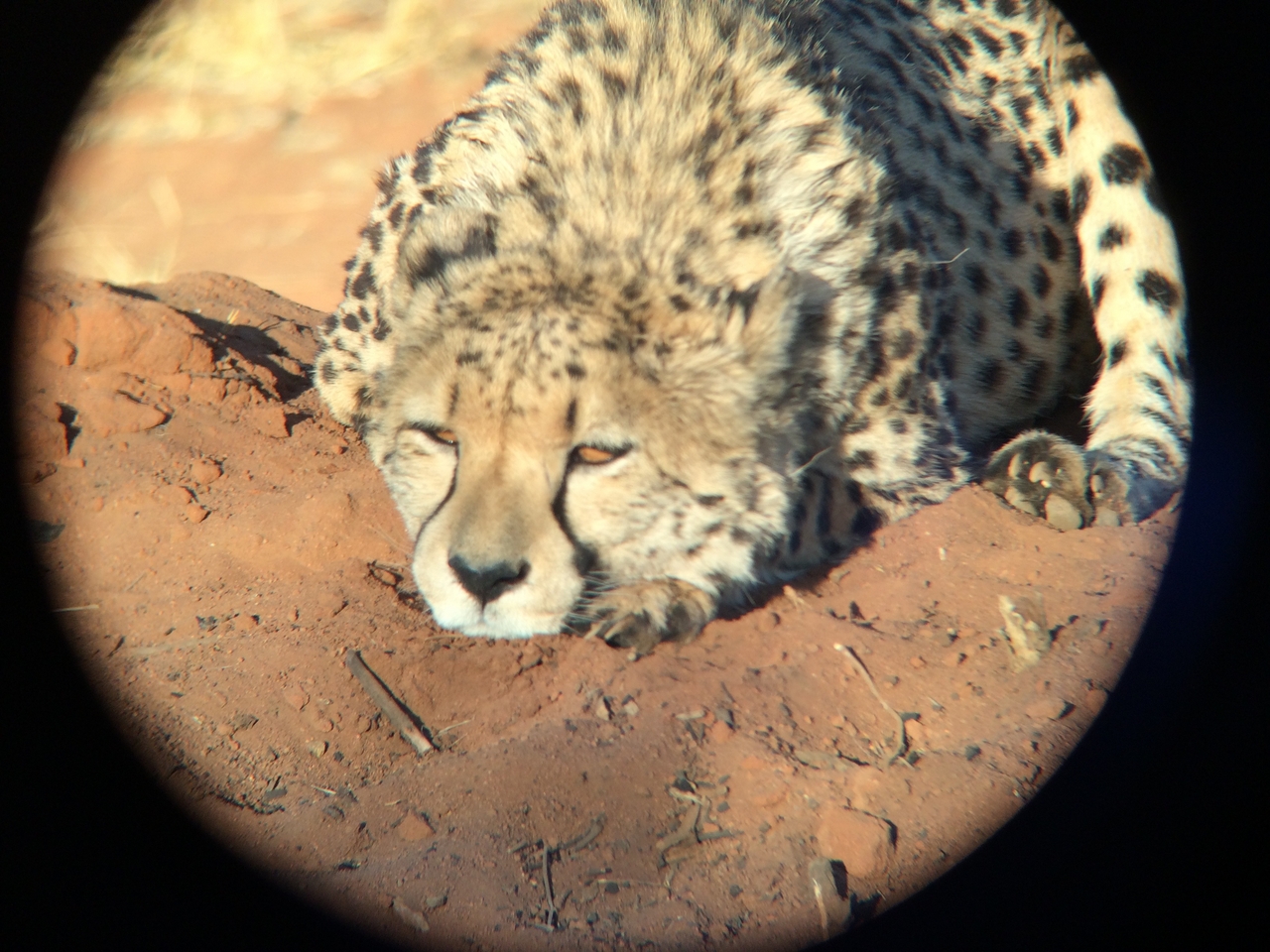 [7107] 2016_06_23_11_14_17_Africa_iPhone_5s_IMG_8216_00368.jpg