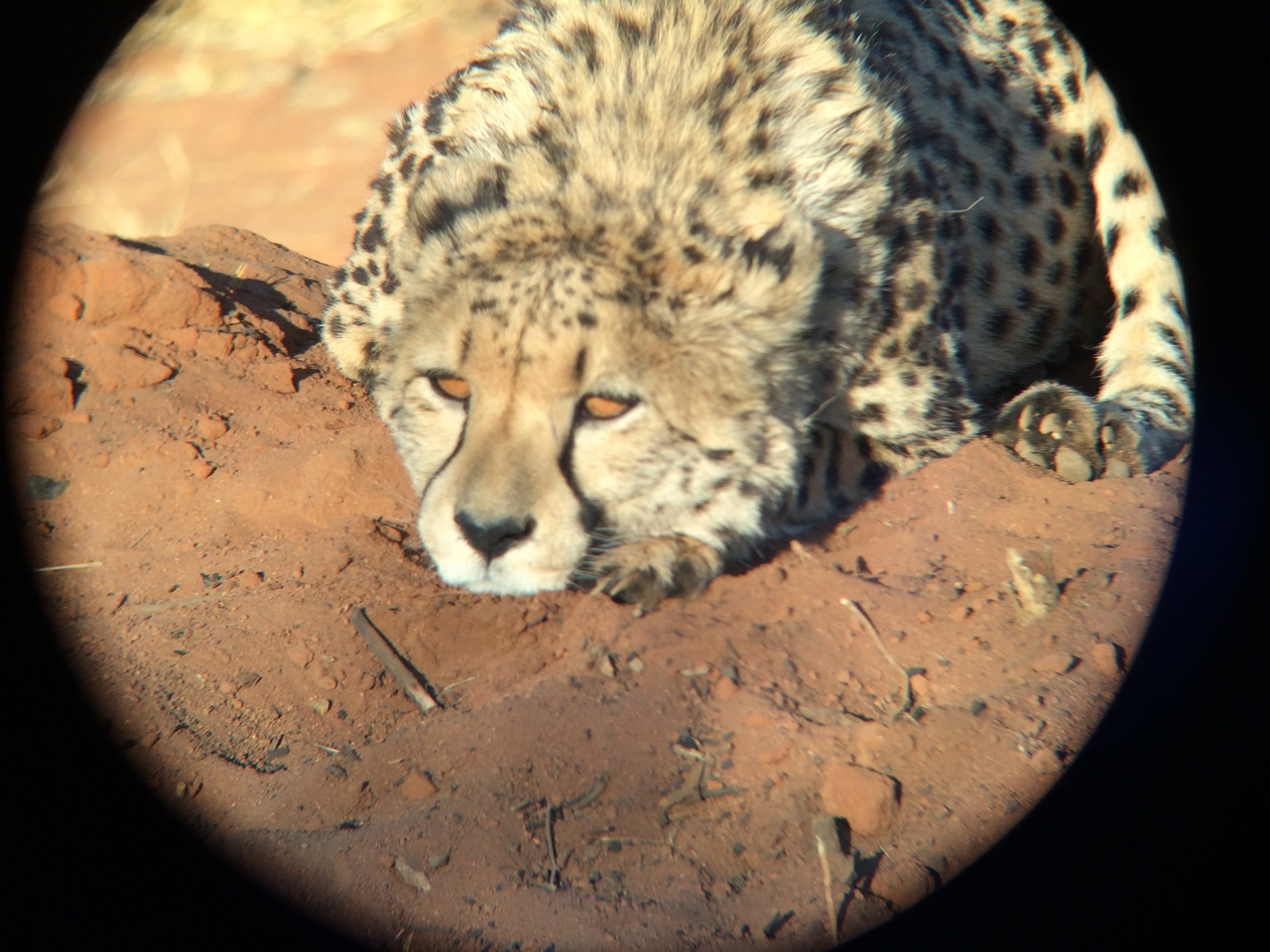 [7114] 2016_06_23_11_14_25_Africa_iPhone_5s_IMG__05985.jpg