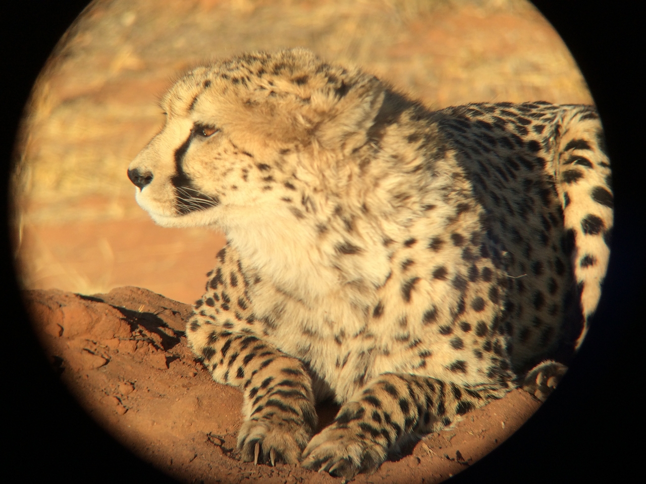 [7116] 2016_06_23_11_14_29_Africa_iPhone_5s_IMG_8218_05986.jpg