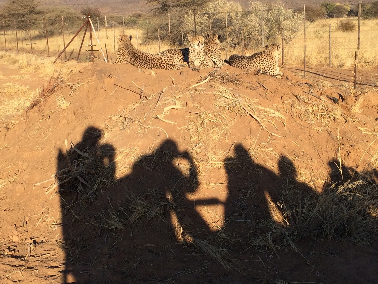 [7148] 2016_06_23_11_20_34_Africa_iPhone_5s_IMG__00381.jpg