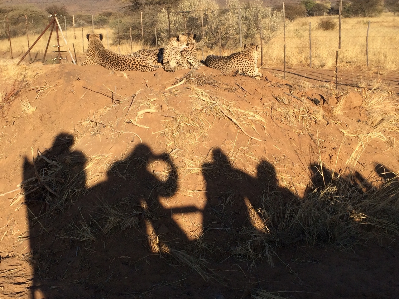 [7164] 2016_06_23_11_20_39_Africa_iPhone_5s_IMG__00383.jpg