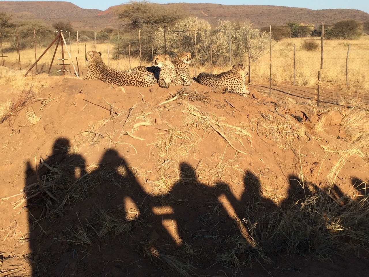 [7213] 2016_06_23_11_21_22_Africa_iPhone_5s_IMG__00385.jpg