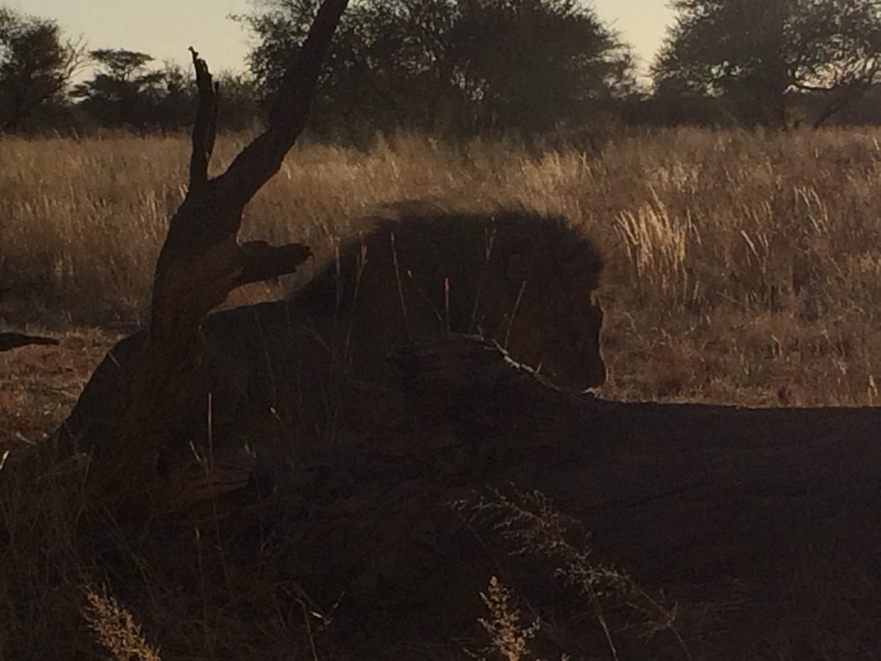 [7406] 2016_06_23_11_40_19_Africa_iPhone_5s_IMG__00387.jpg