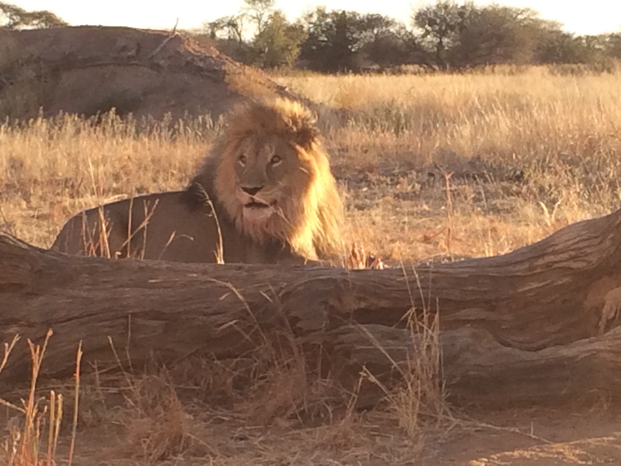 [7820] 2016_06_23_11_46_20_Africa_iPhone_5s_IMG_8232_00392.jpg