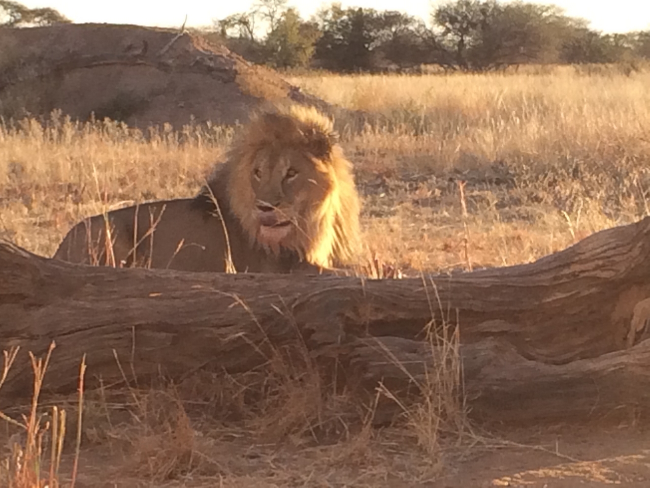 [7841] 2016_06_23_11_46_22_Africa_iPhone_5s_IMG_8235_00398.jpg