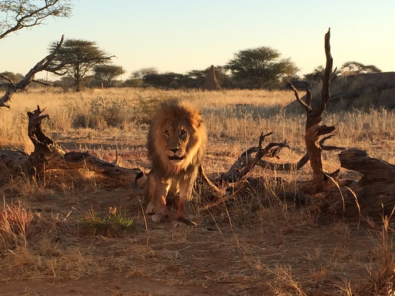 [8436] 2016_06_23_11_54_25_Africa_iPhone_5s_IMG_8240_00404.jpg