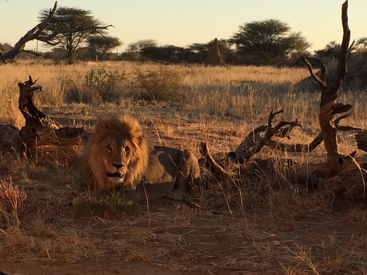 [8680] 2016_06_23_11_56_12_Africa_iPhone_5s_IMG_8246_00412.jpg