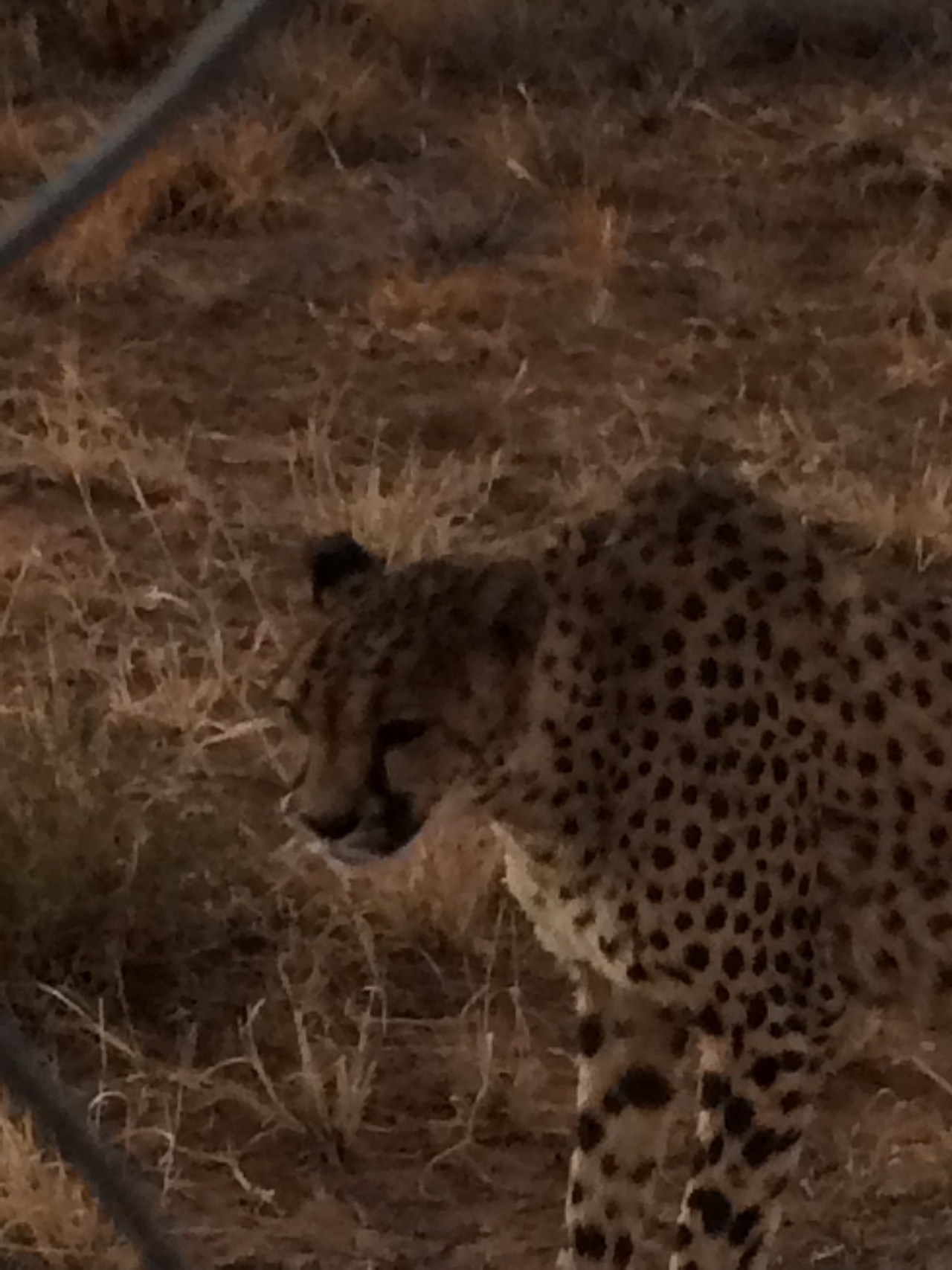 [8940] 2016_06_23_12_28_06_Africa_iPhone_5s_IMG_8257_00426.jpg