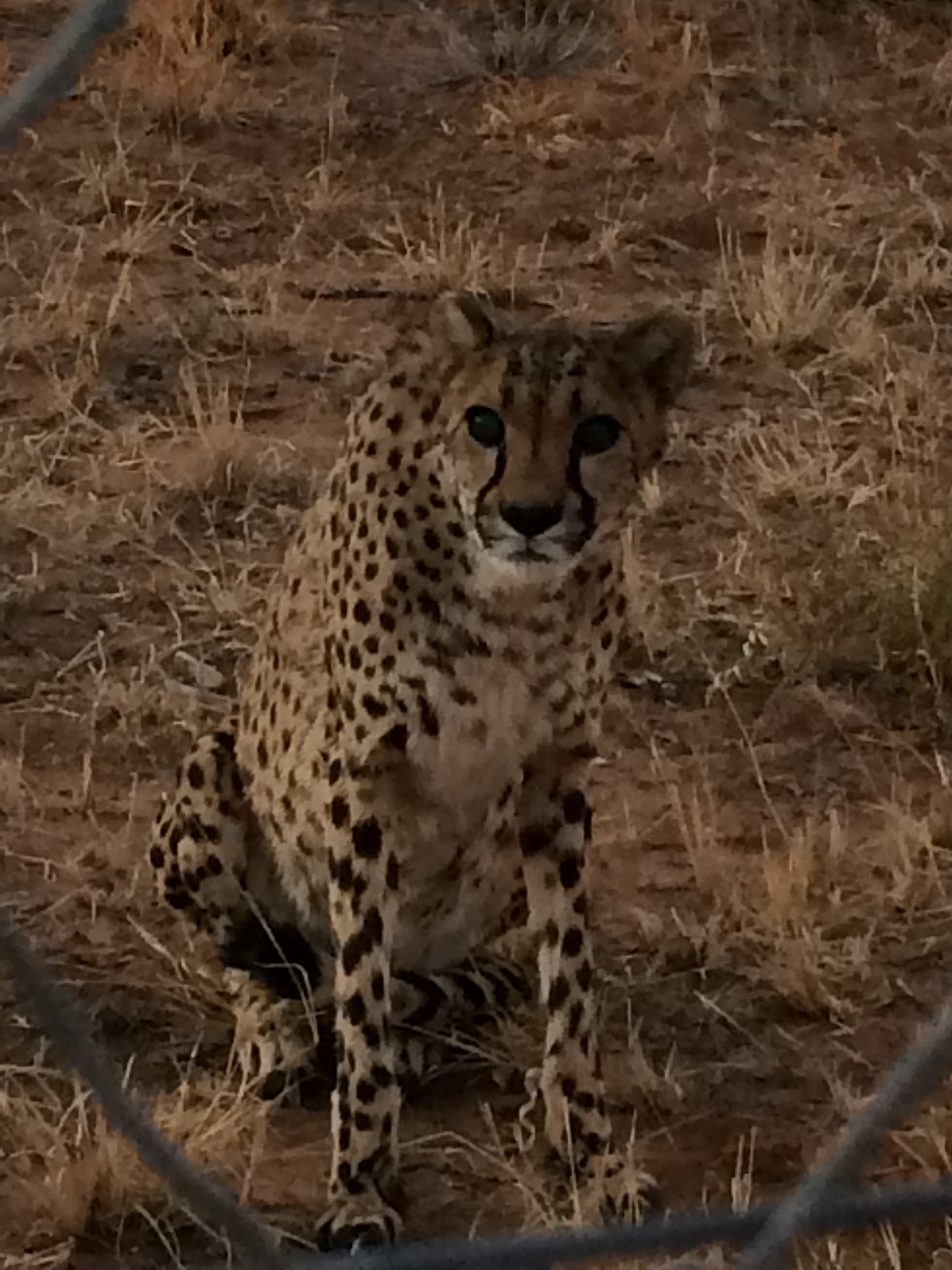 [8949] 2016_06_23_12_28_31_Africa_iPhone_5s_IMG_8259_06044.jpg