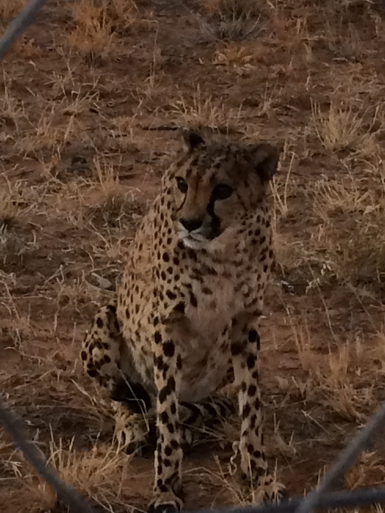 [8955] 2016_06_23_12_28_32_Africa_iPhone_5s_IMG__06047.jpg