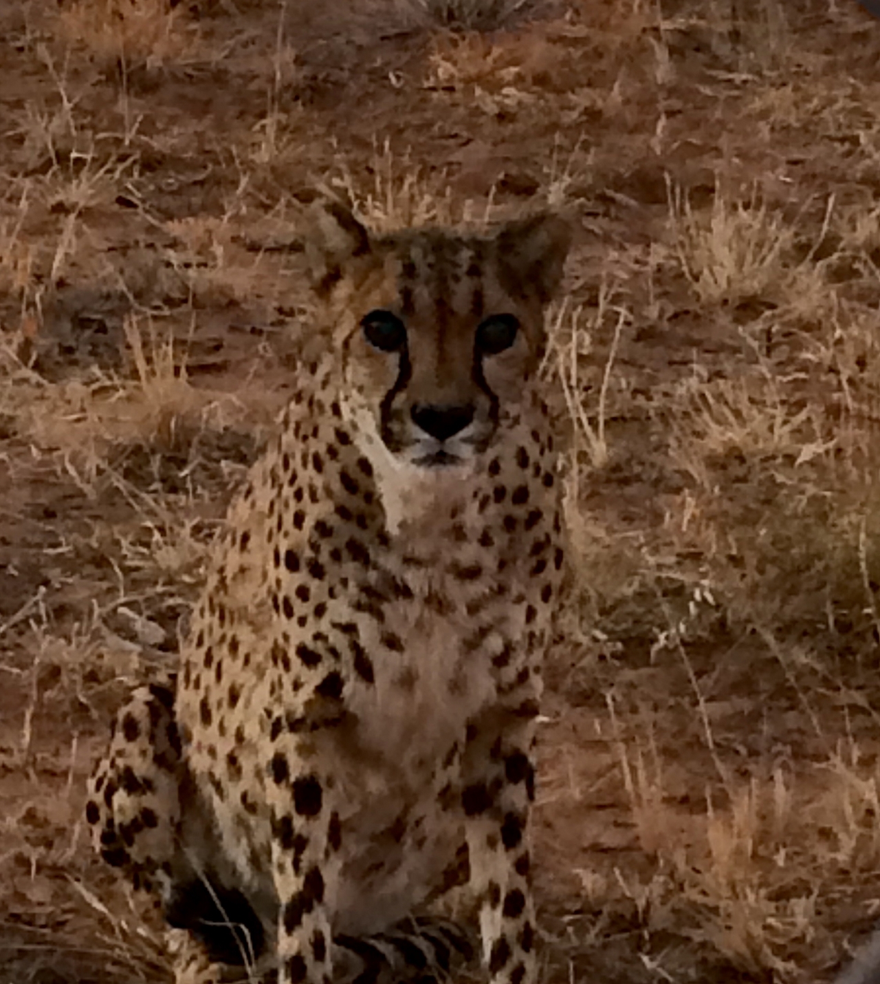 [8956] 2016_06_23_12_28_39_Africa_iPhone_5s_IMG_8261_00434.jpg