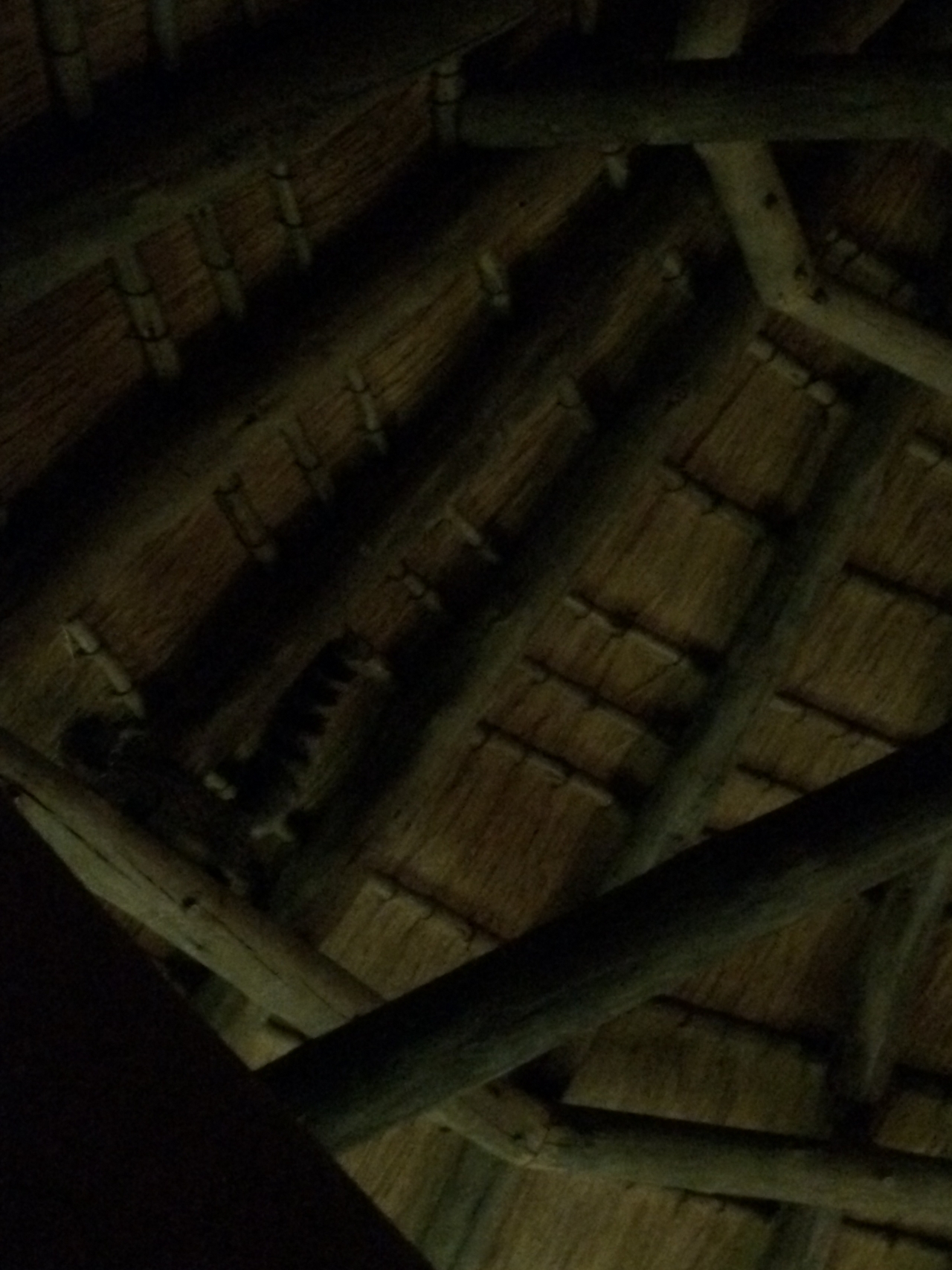 [9574] 2016_06_23_17_51_31_Africa_iPhone_5s_IMG_8268_00448.jpg