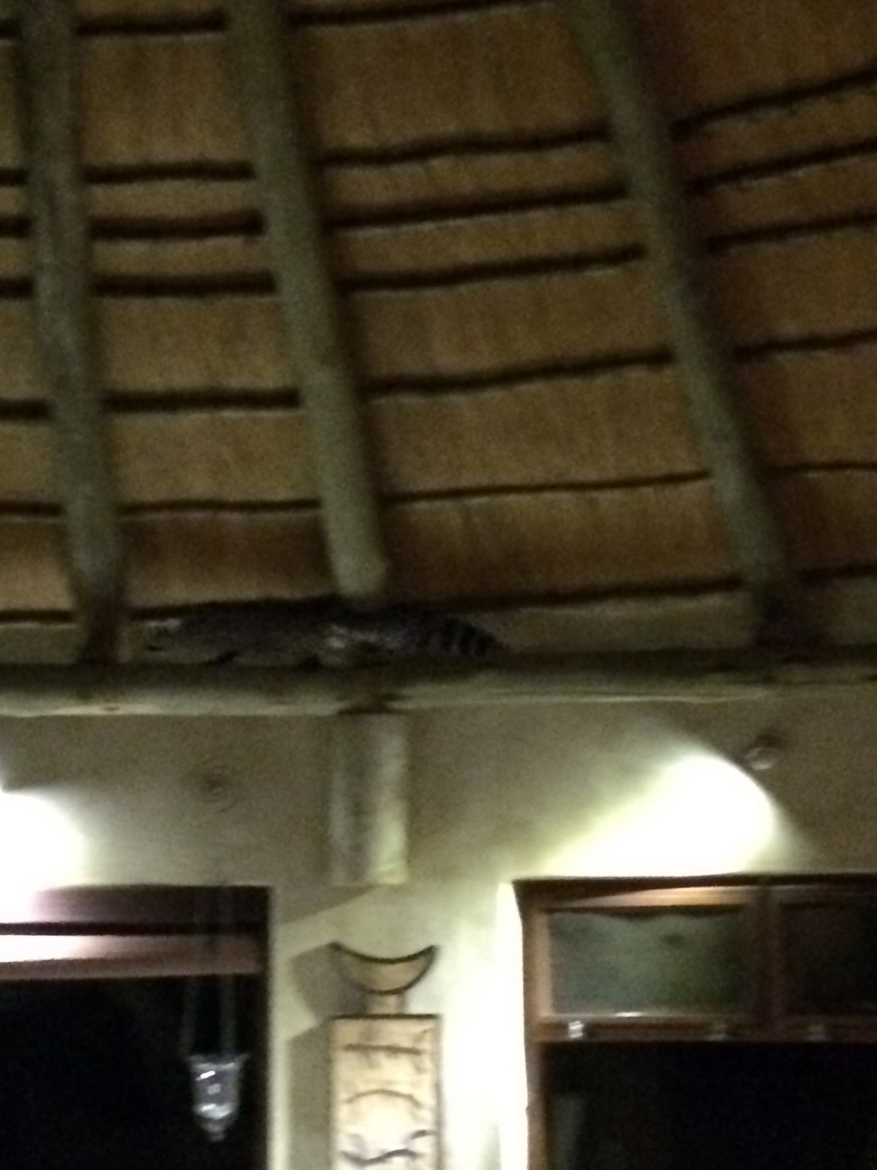 [9588] 2016_06_23_17_52_24_Africa_iPhone_5s_IMG__00455.jpg