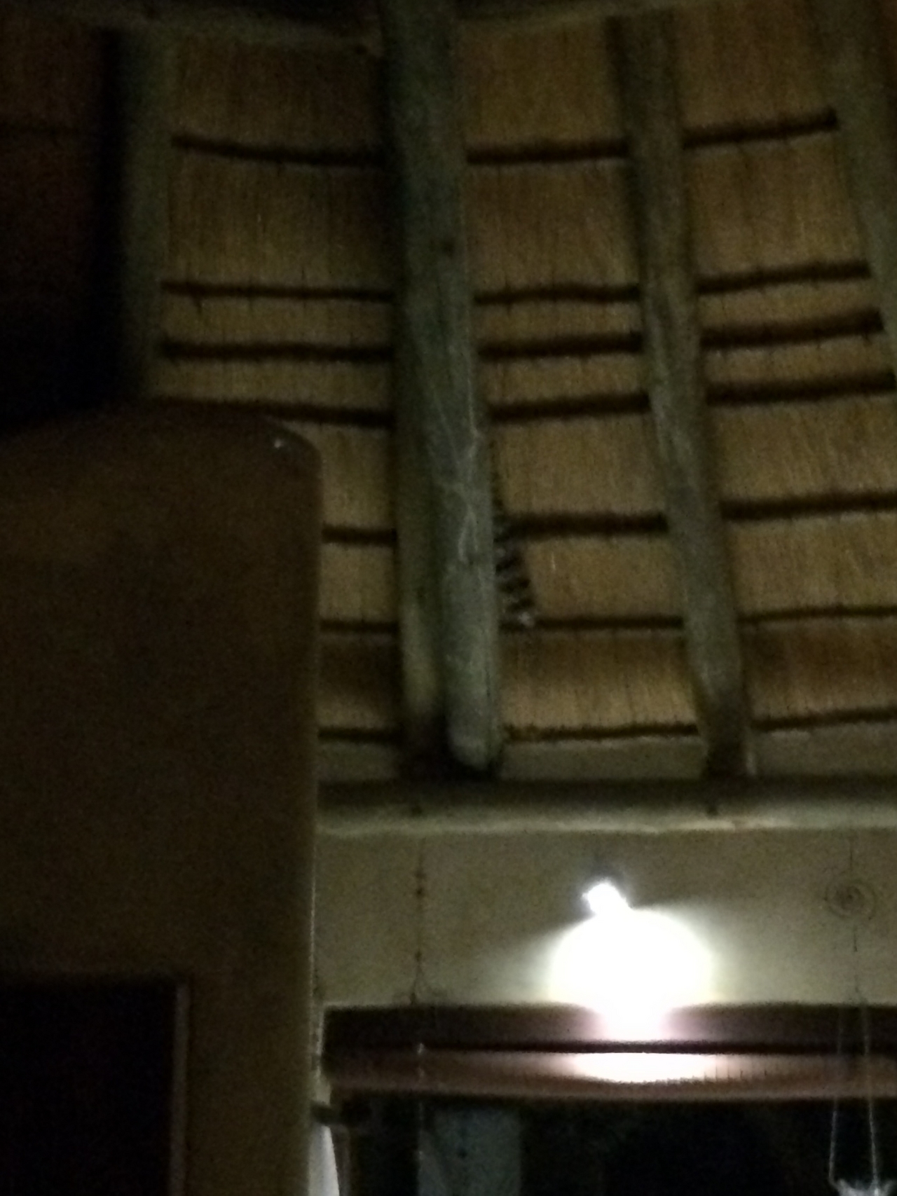 [9591] 2016_06_23_17_52_25_Africa_iPhone_5s_IMG_8273_06070.jpg