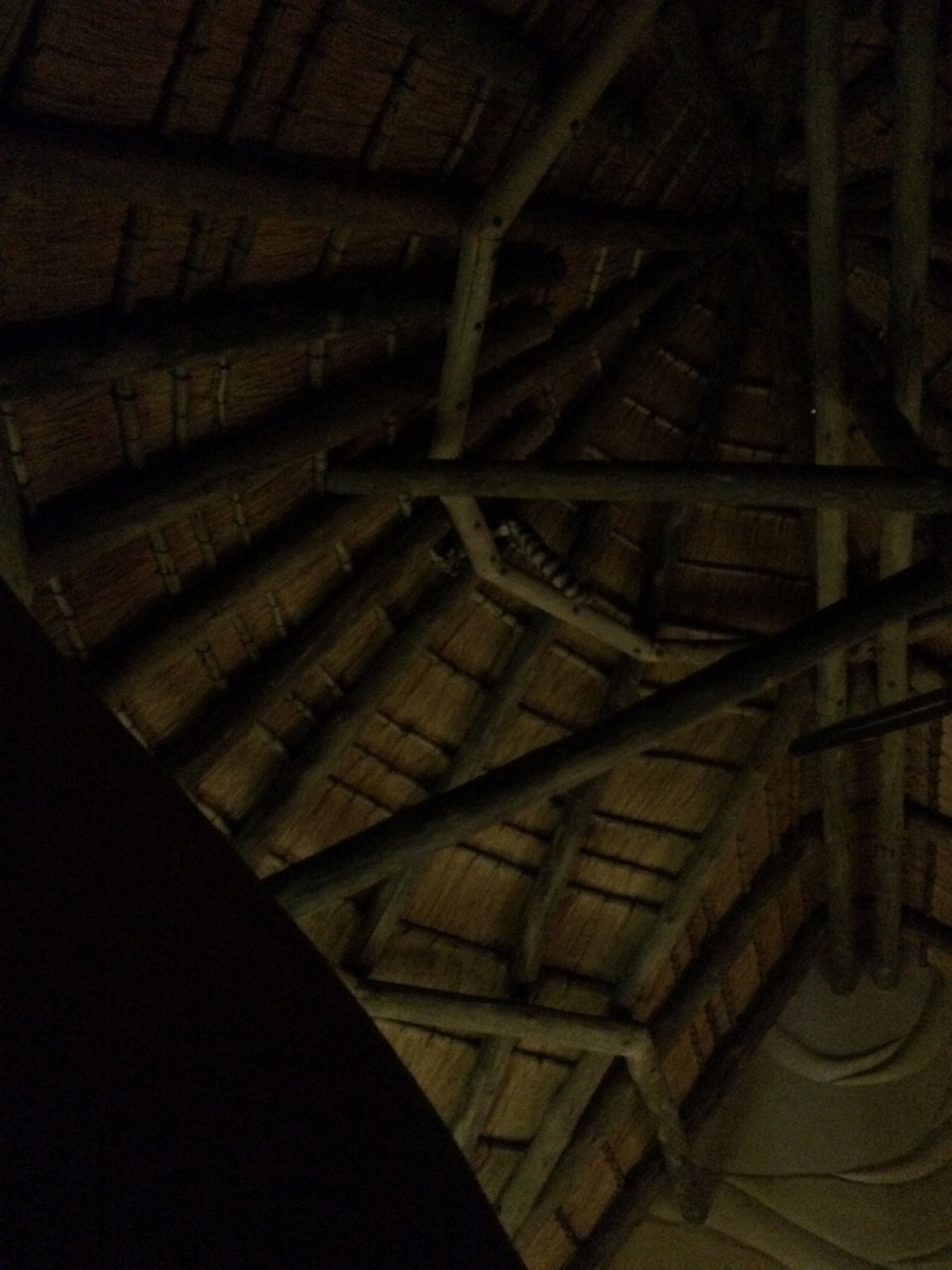 [9596] 2016_06_23_17_53_29_Africa_iPhone_5s_IMG__00459.jpg