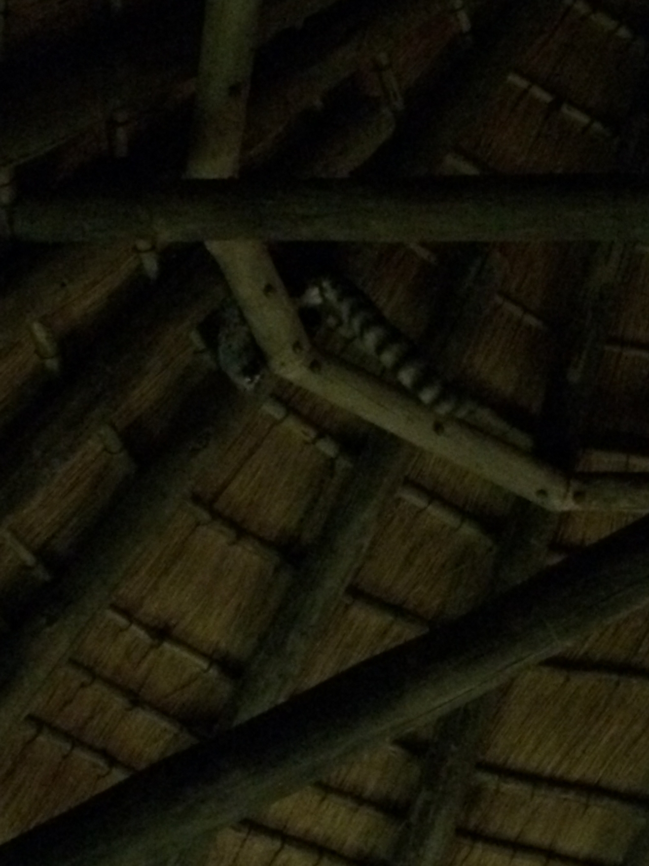 [9600] 2016_06_23_17_53_34_Africa_iPhone_5s_IMG__00461.jpg