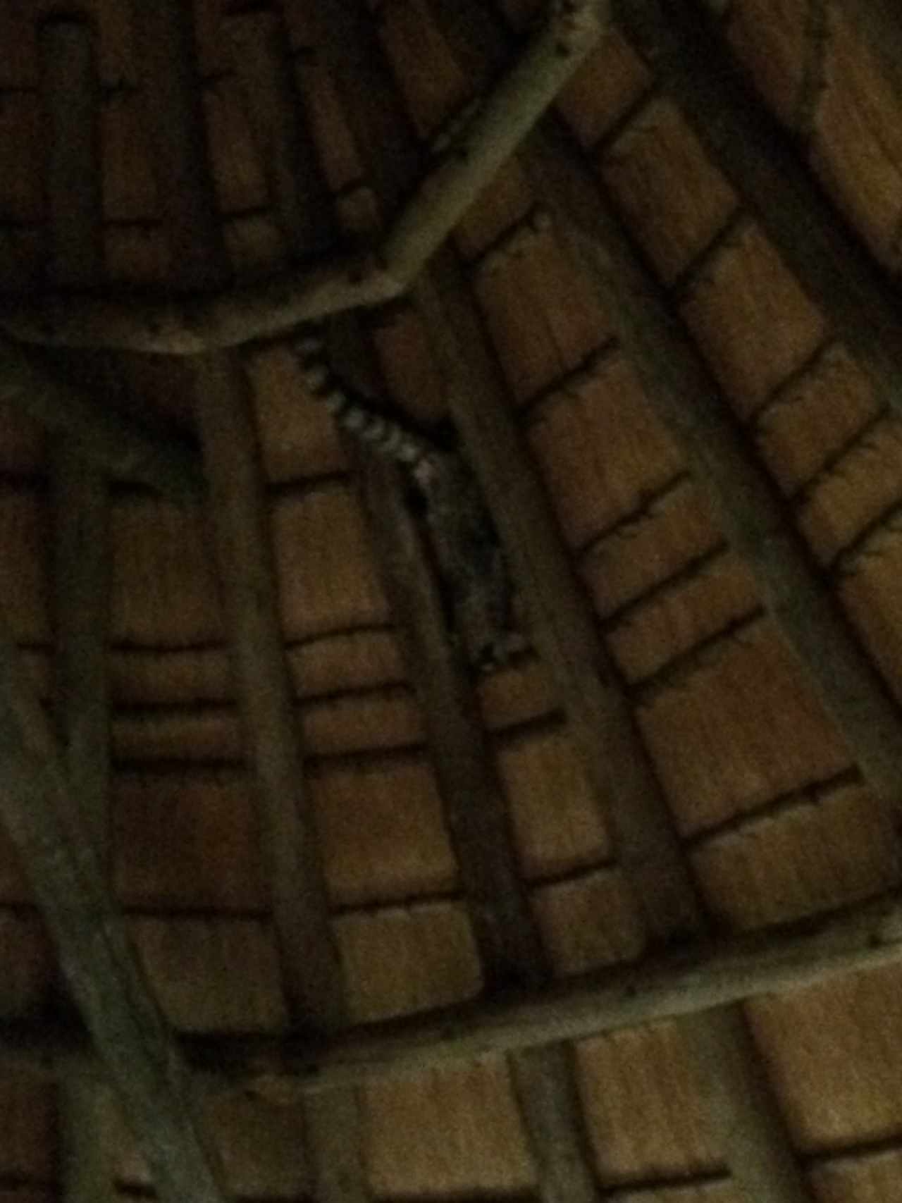 [9603] 2016_06_23_17_53_55_Africa_iPhone_5s_IMG_8276_06076.jpg