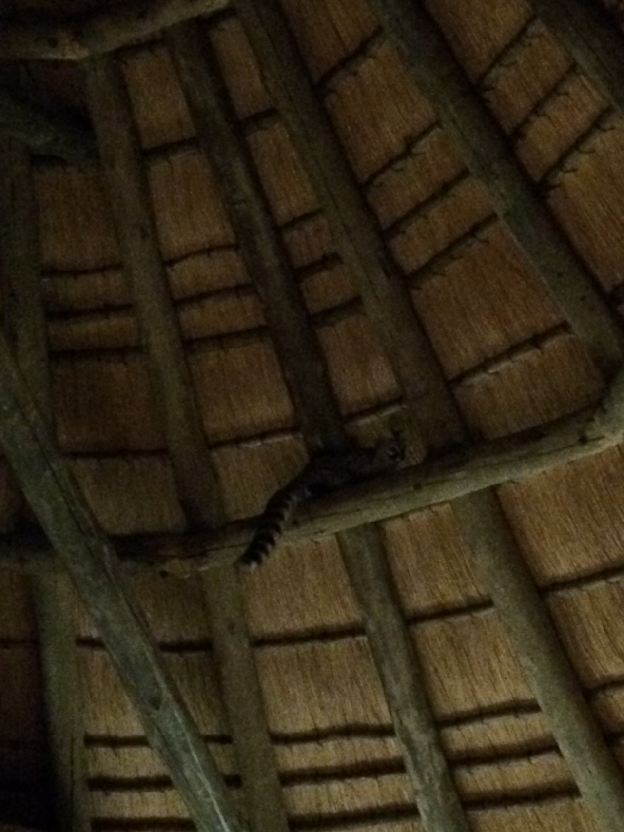 [9615] 2016_06_23_17_54_06_Africa_iPhone_5s_IMG_8279_06082.jpg