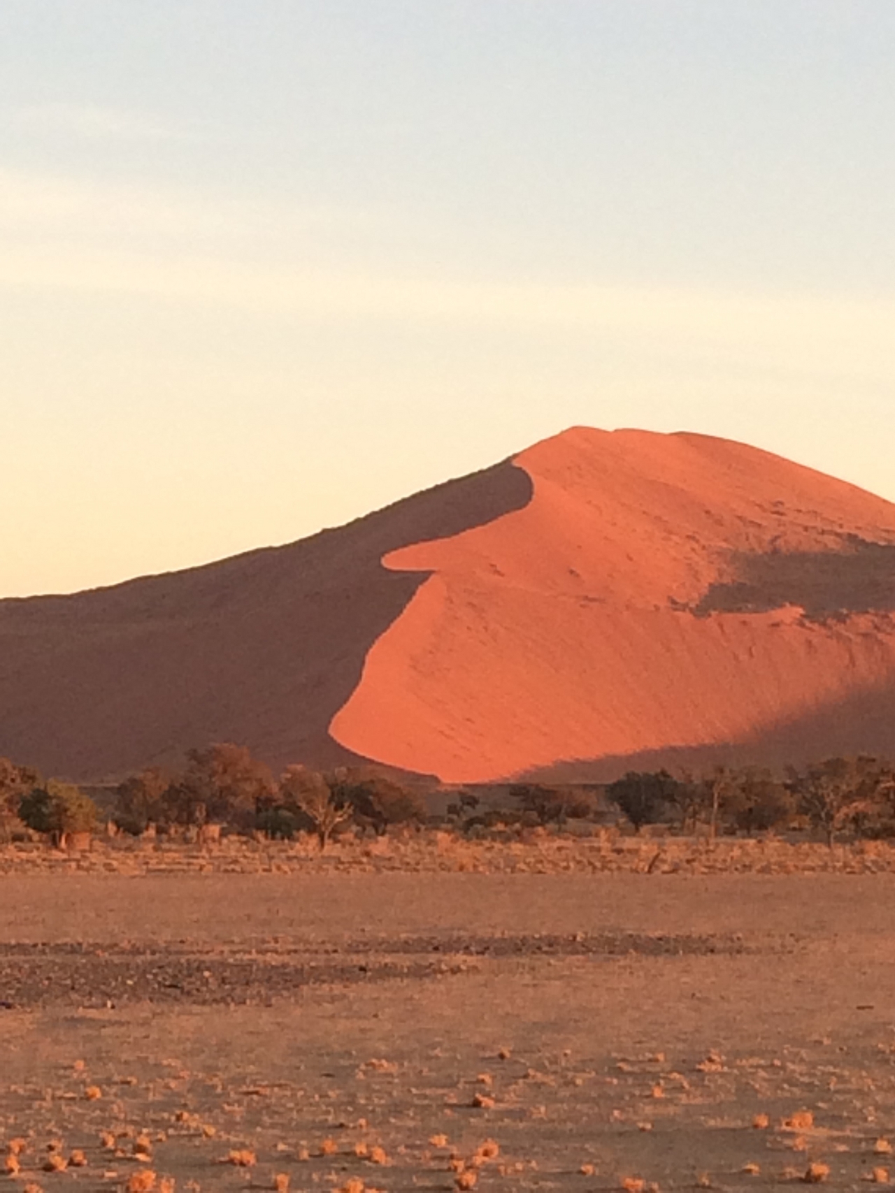 [14623] 2016_06_25_01_51_14_Africa_iPhone_5s_IMG__00507.jpg