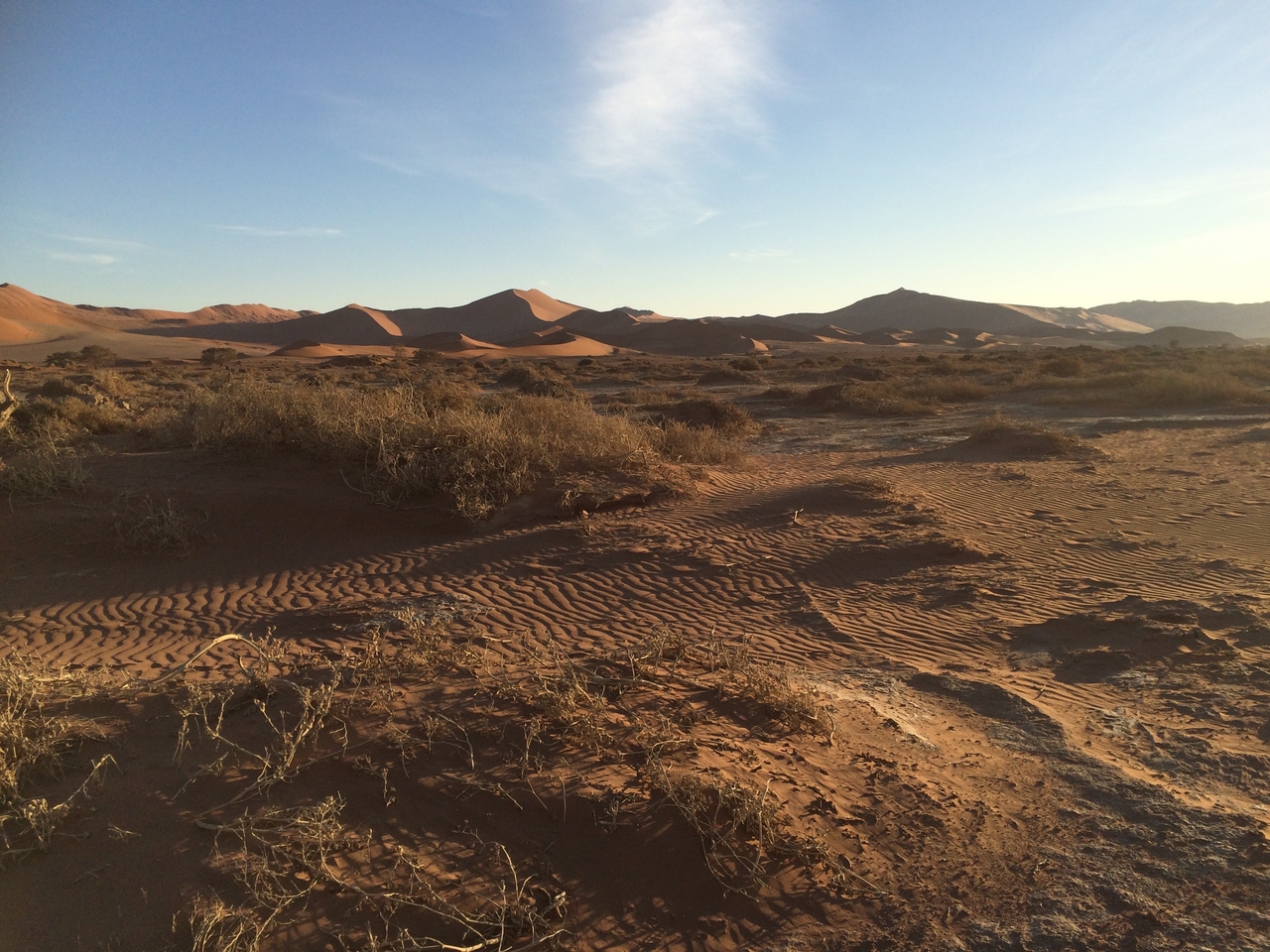 [14712] 2016_06_25_02_21_57_Africa_iPhone_5s_IMG_8306_00514.jpg