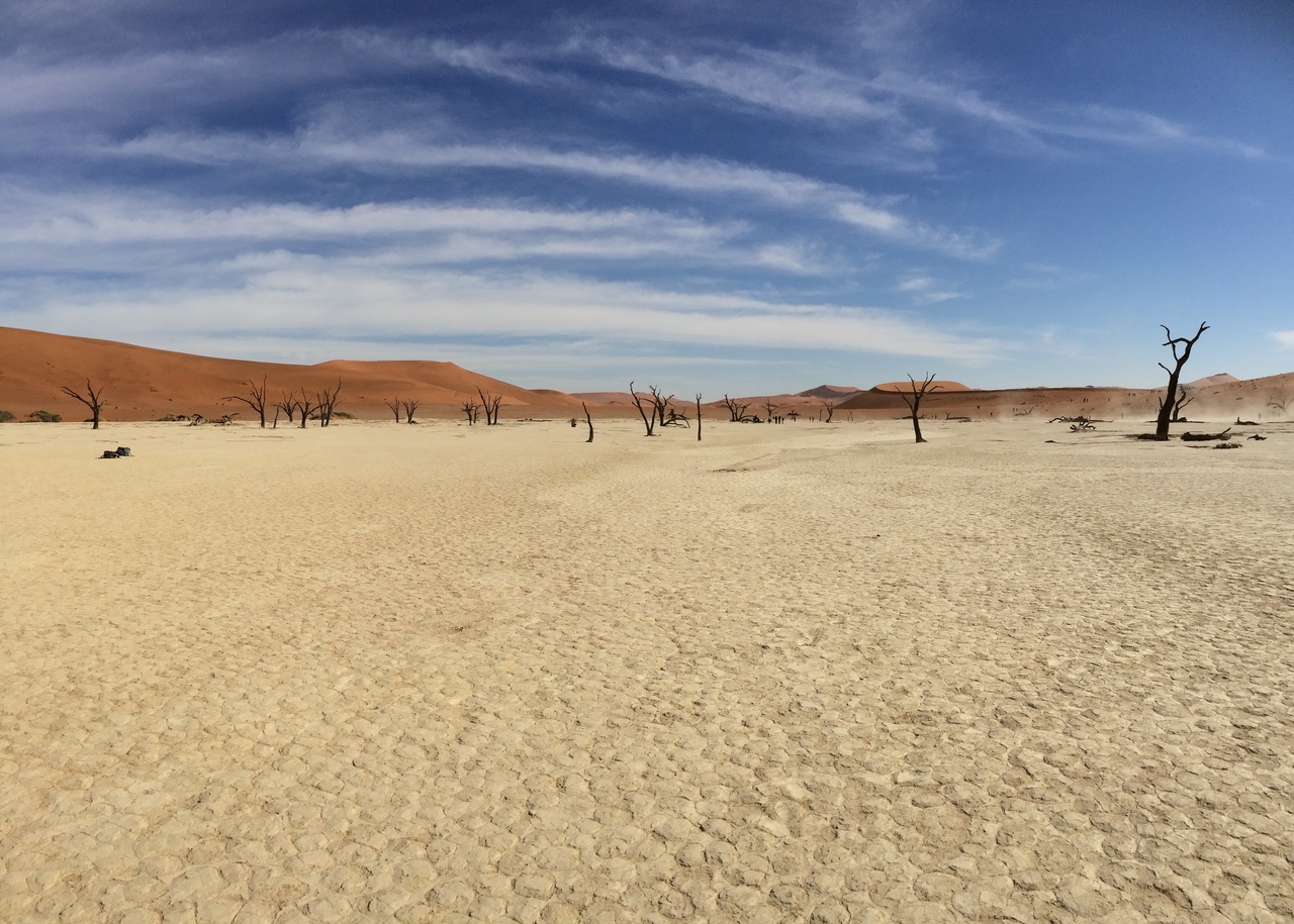 [15357] 2016_06_25_05_07_10_Africa_iPhone_5s_IMG__06169.jpg