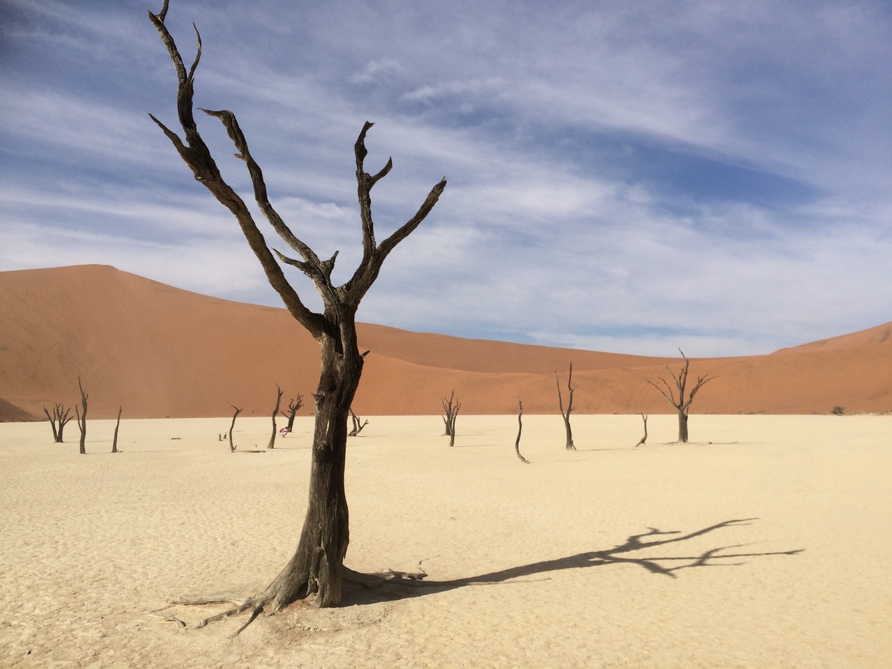 [15361] 2016_06_25_05_07_45_Africa_iPhone_5s_IMG__06171.jpg