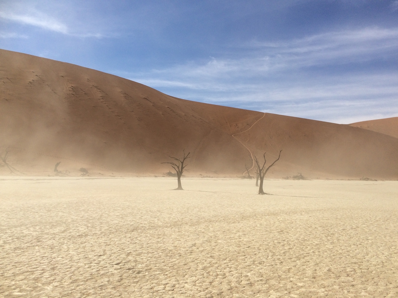 [15362] 2016_06_25_05_07_48_Africa_iPhone_5s_IMG_8355_00558.jpg