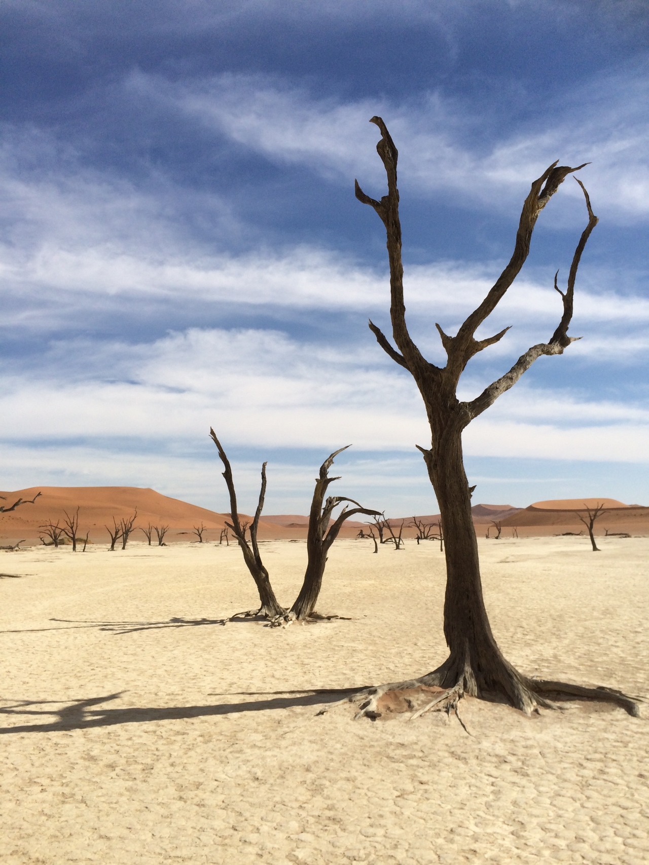 [15367] 2016_06_25_05_22_00_Africa_iPhone_5s_IMG_8356_06174.jpg