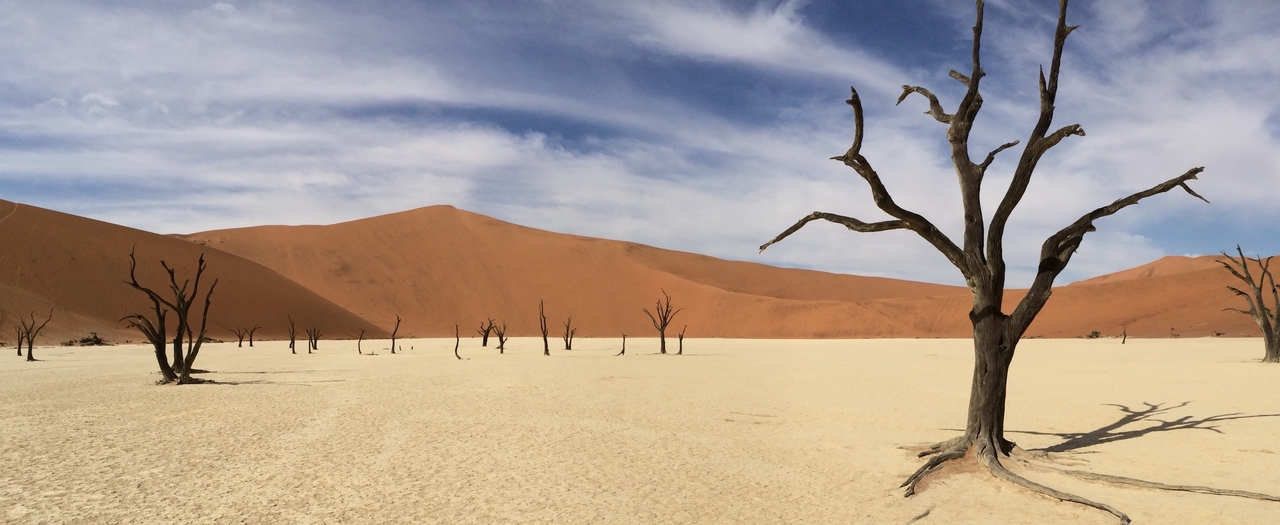 [15384] 2016_06_25_05_23_26_Africa_iPhone_5s_IMG__00567.jpg