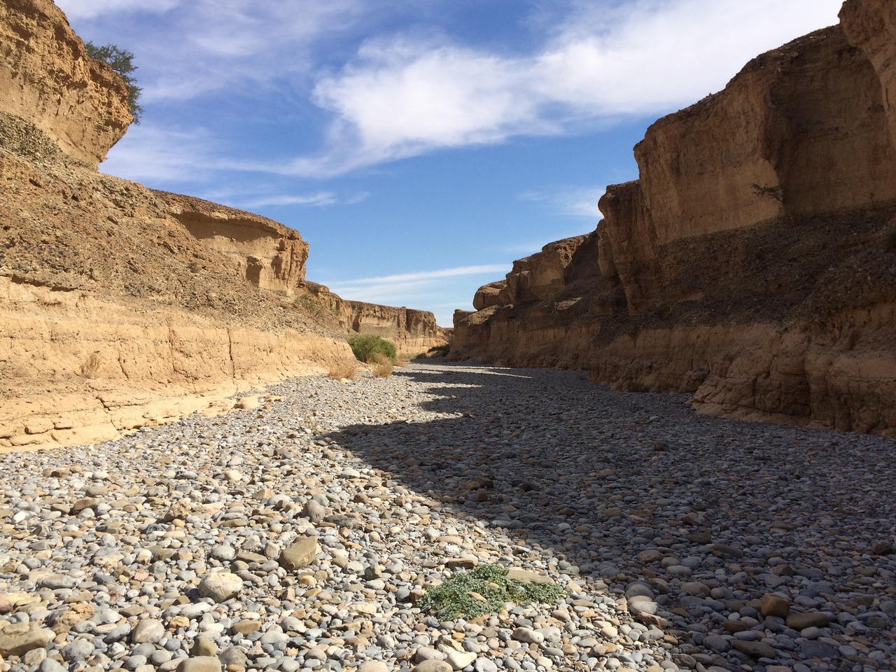 [15473] 2016_06_25_07_19_22_Africa_iPhone_5s_IMG__06193.jpg