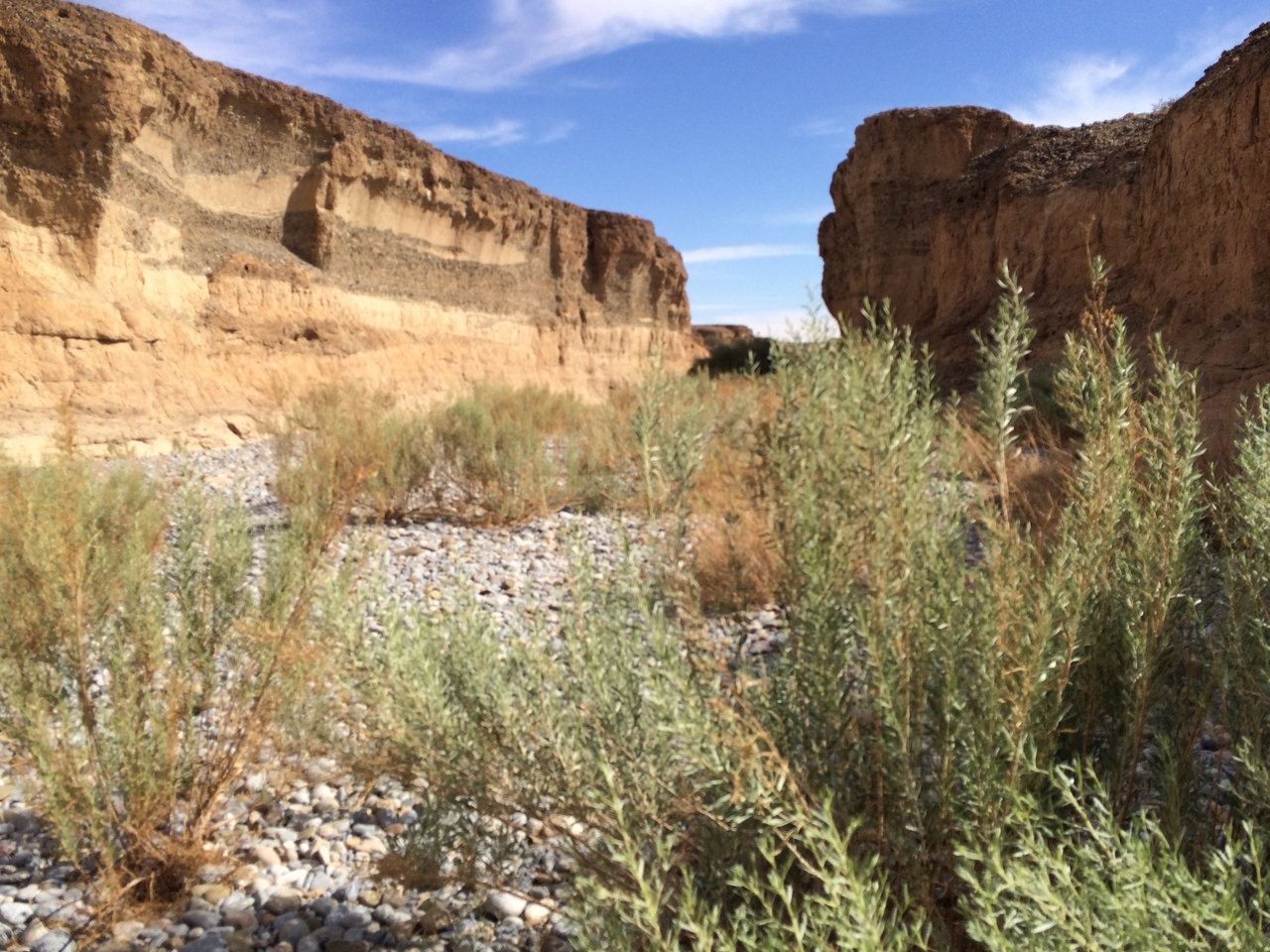 [15501] 2016_06_25_07_22_56_Africa_iPhone_5s_IMG_8374_06198.jpg