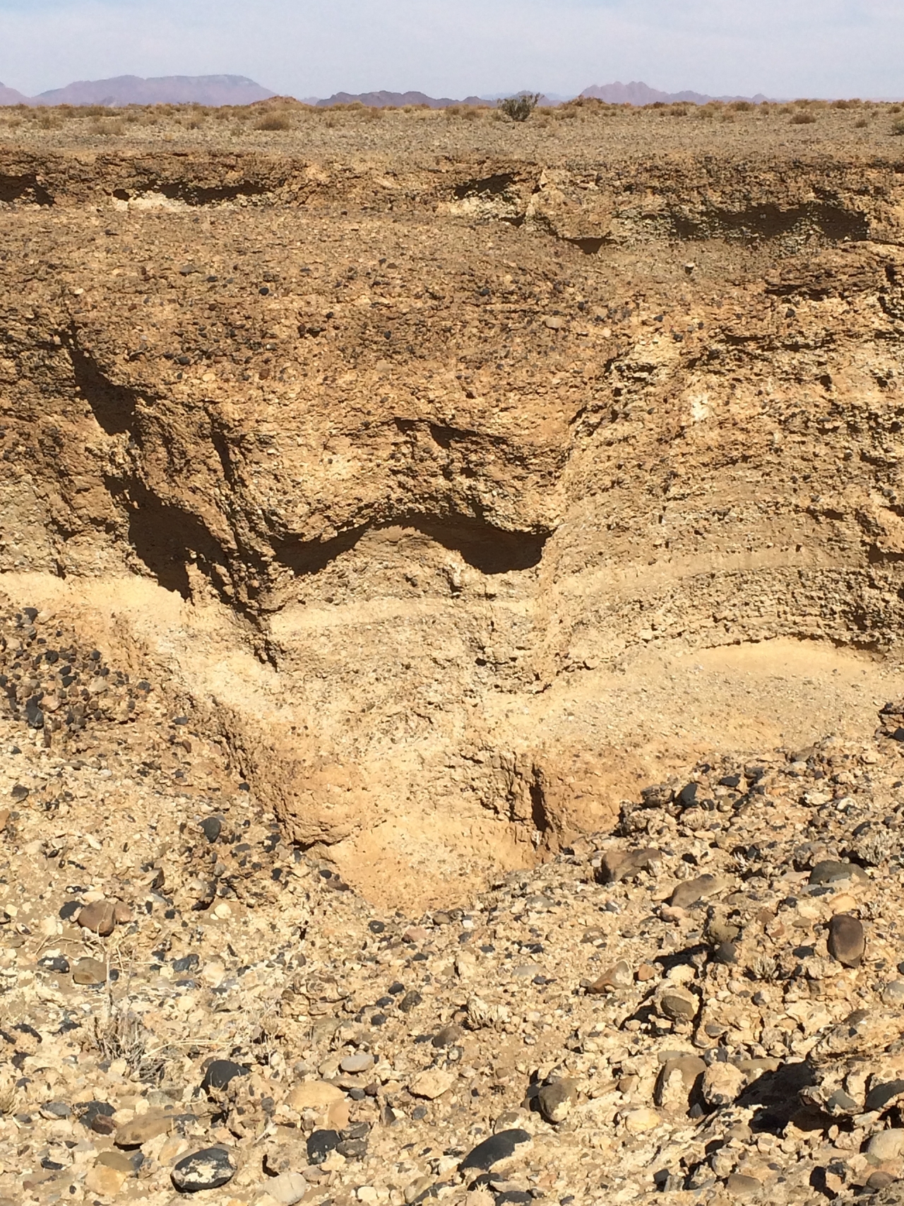 [15636] 2016_06_25_08_01_11_Africa_iPhone_5s_IMG_8383_00602.jpg