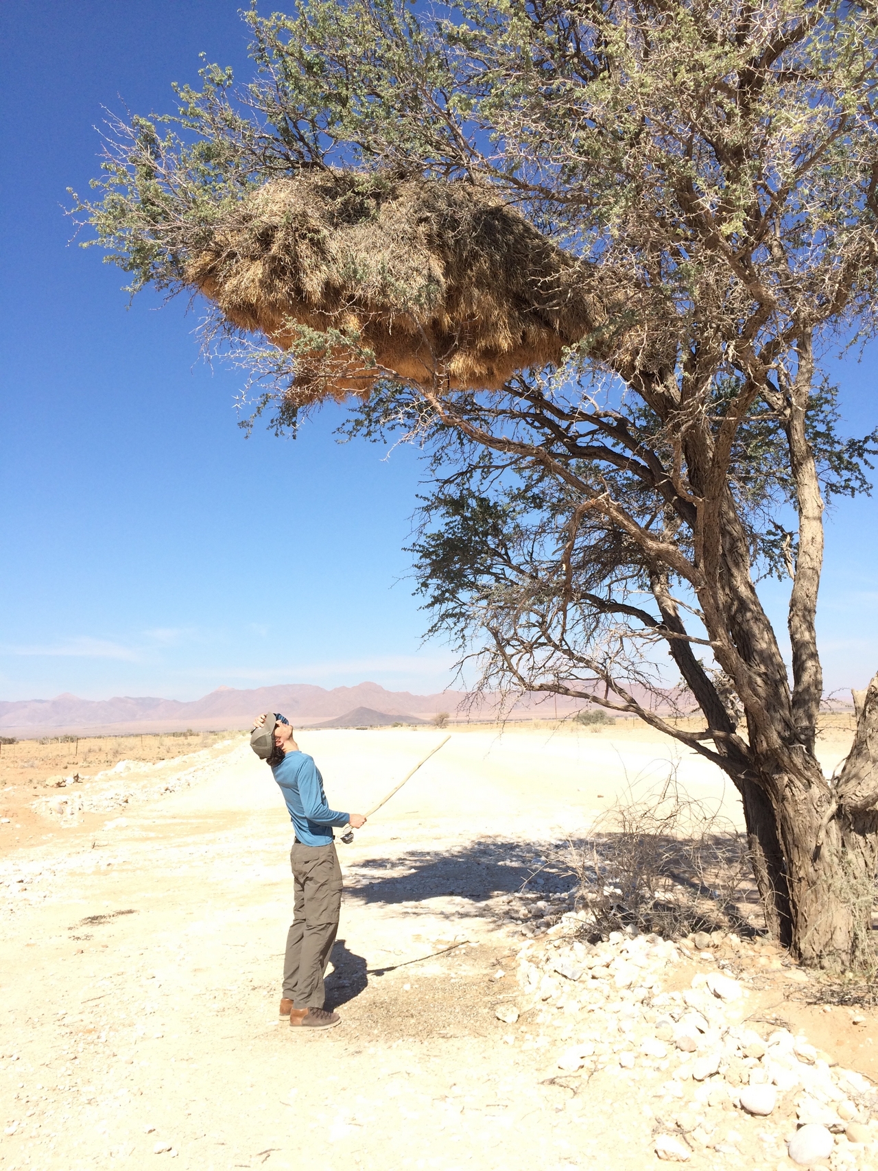 [16393] 2016_06_26_06_17_41_Africa_iPhone_5s_IMG_8389_06226.jpg