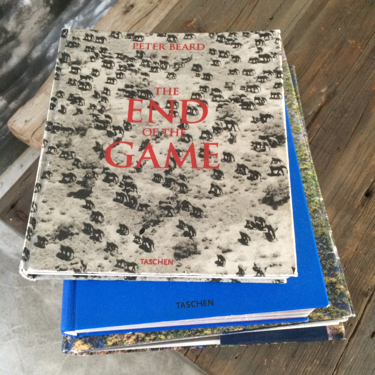 [16442] 2016_06_26_09_43_34_Africa_iPhone_5s_IMG__06253.jpg